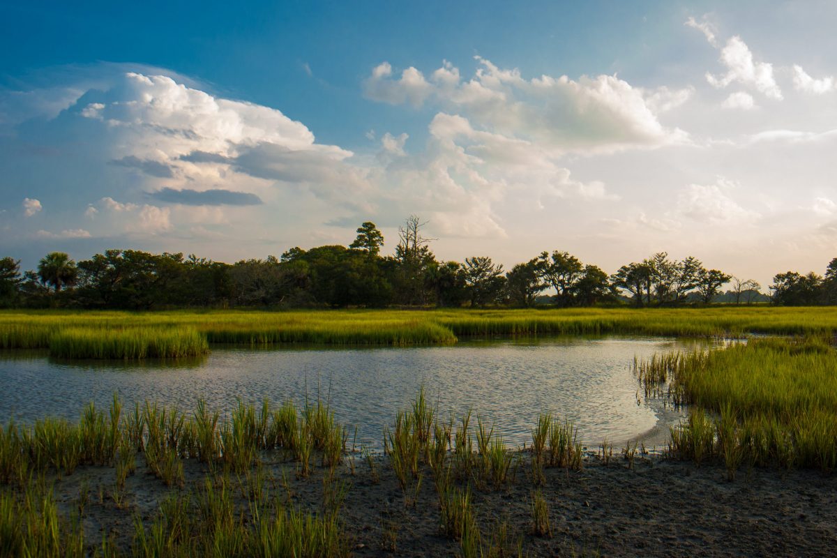 Tour Information Sapelo Island Tours